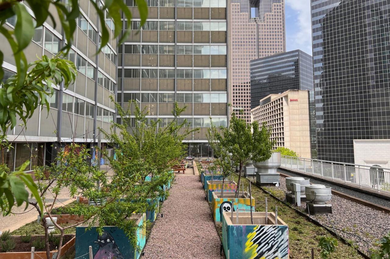 Sheraton Dallas Hotel Dış mekan fotoğraf